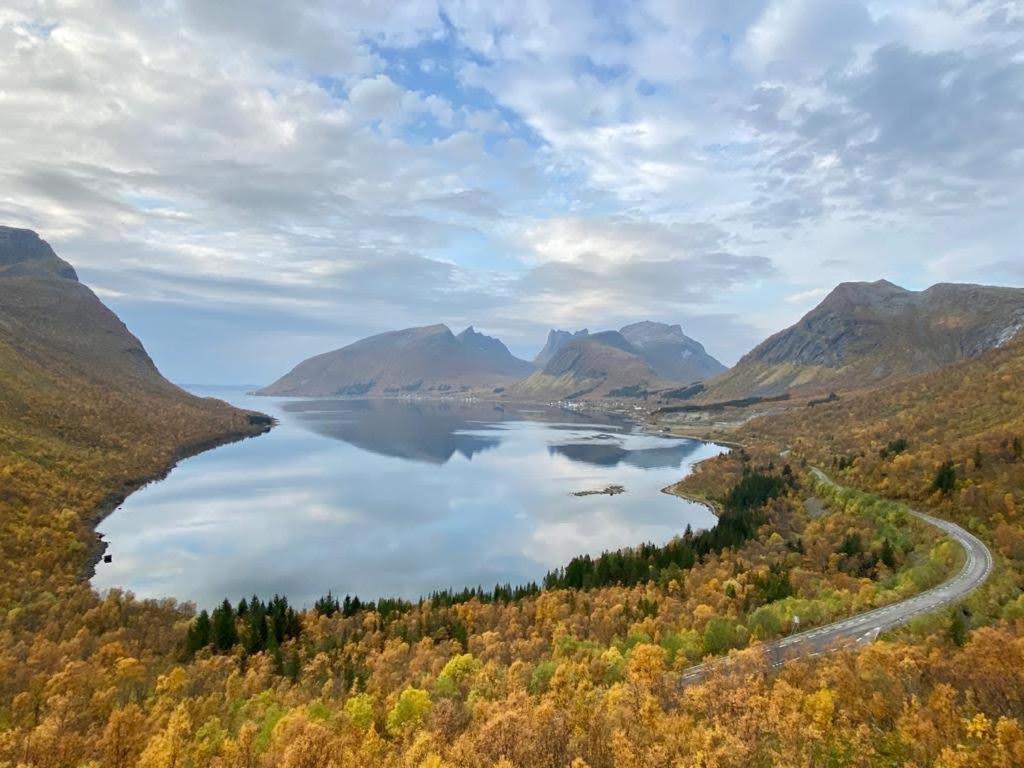 Ferrytale, Cozy, Spacious House On Senja Gryllefjord Exteriör bild