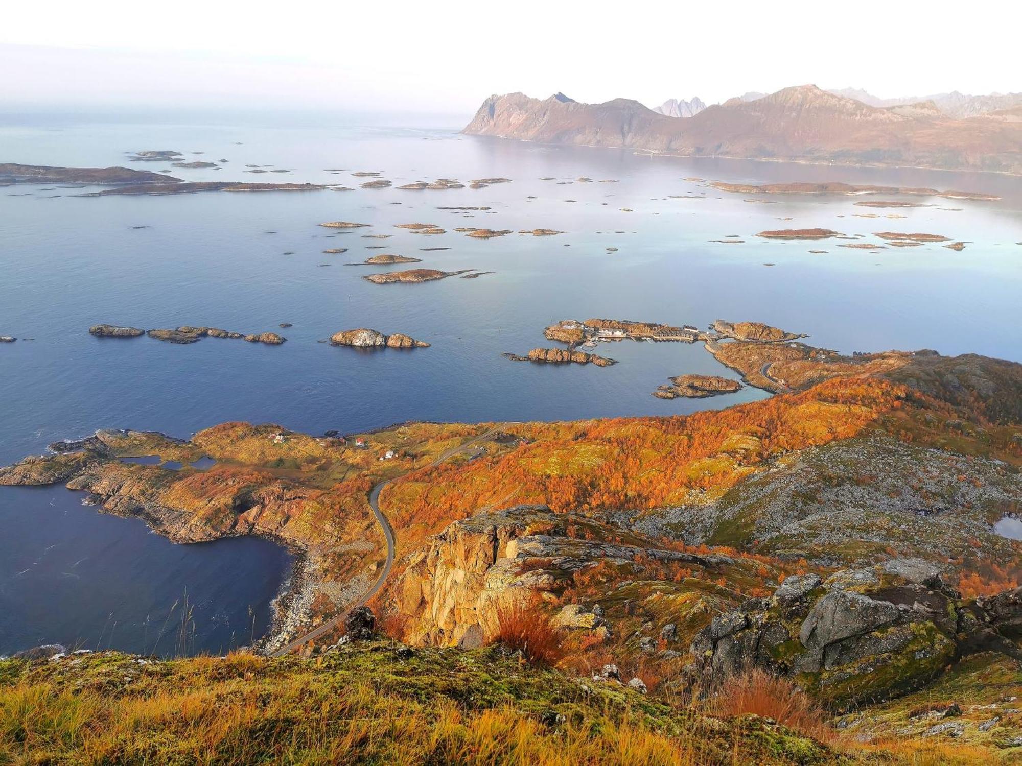 Ferrytale, Cozy, Spacious House On Senja Gryllefjord Exteriör bild