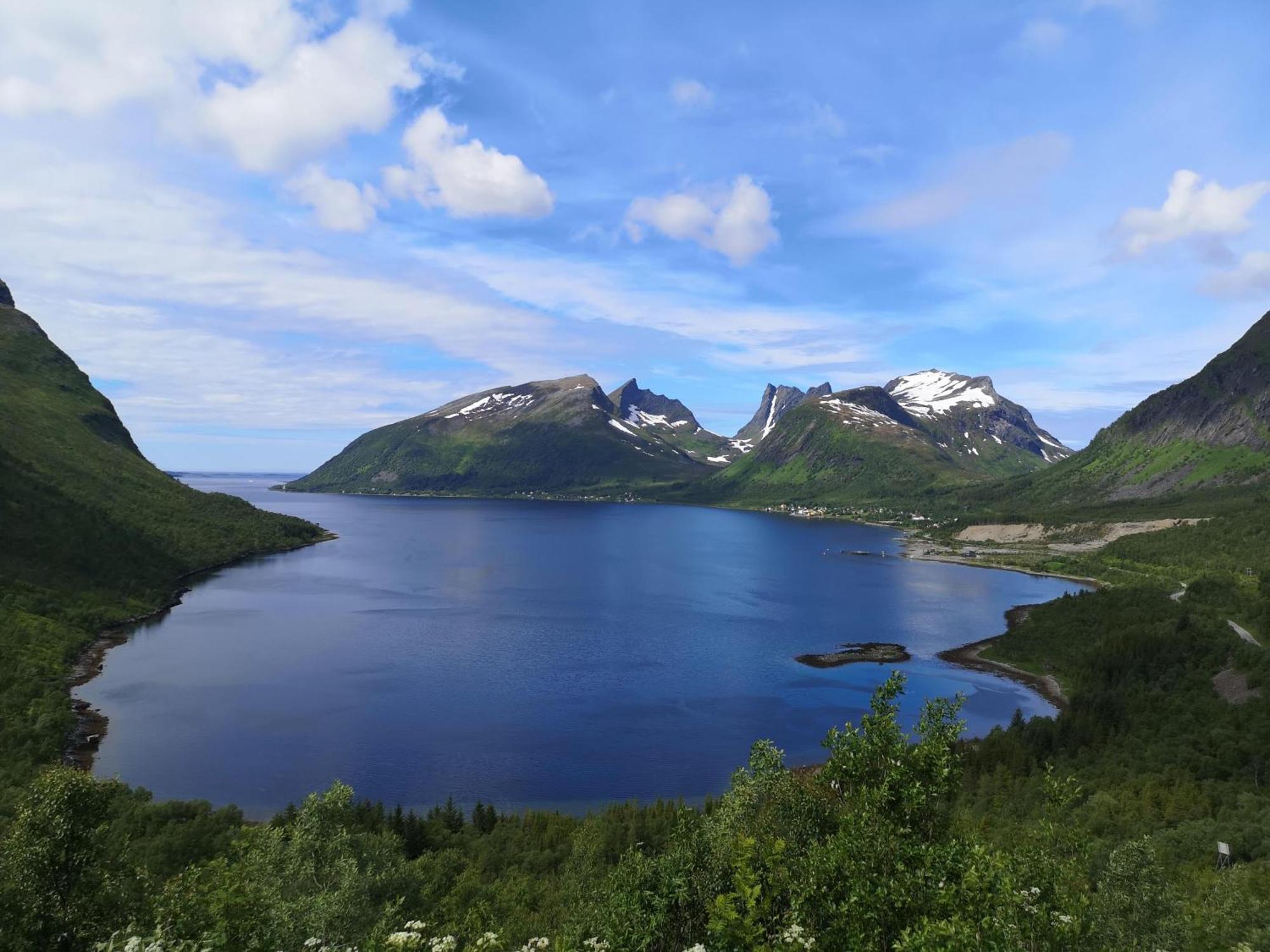 Ferrytale, Cozy, Spacious House On Senja Gryllefjord Exteriör bild