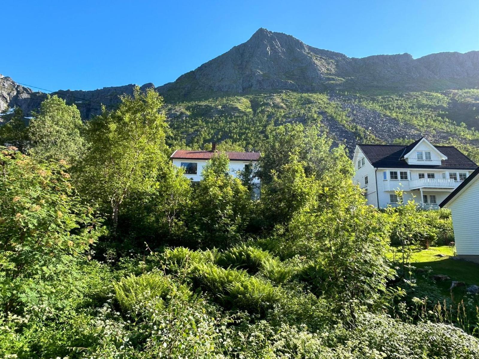 Ferrytale, Cozy, Spacious House On Senja Gryllefjord Exteriör bild